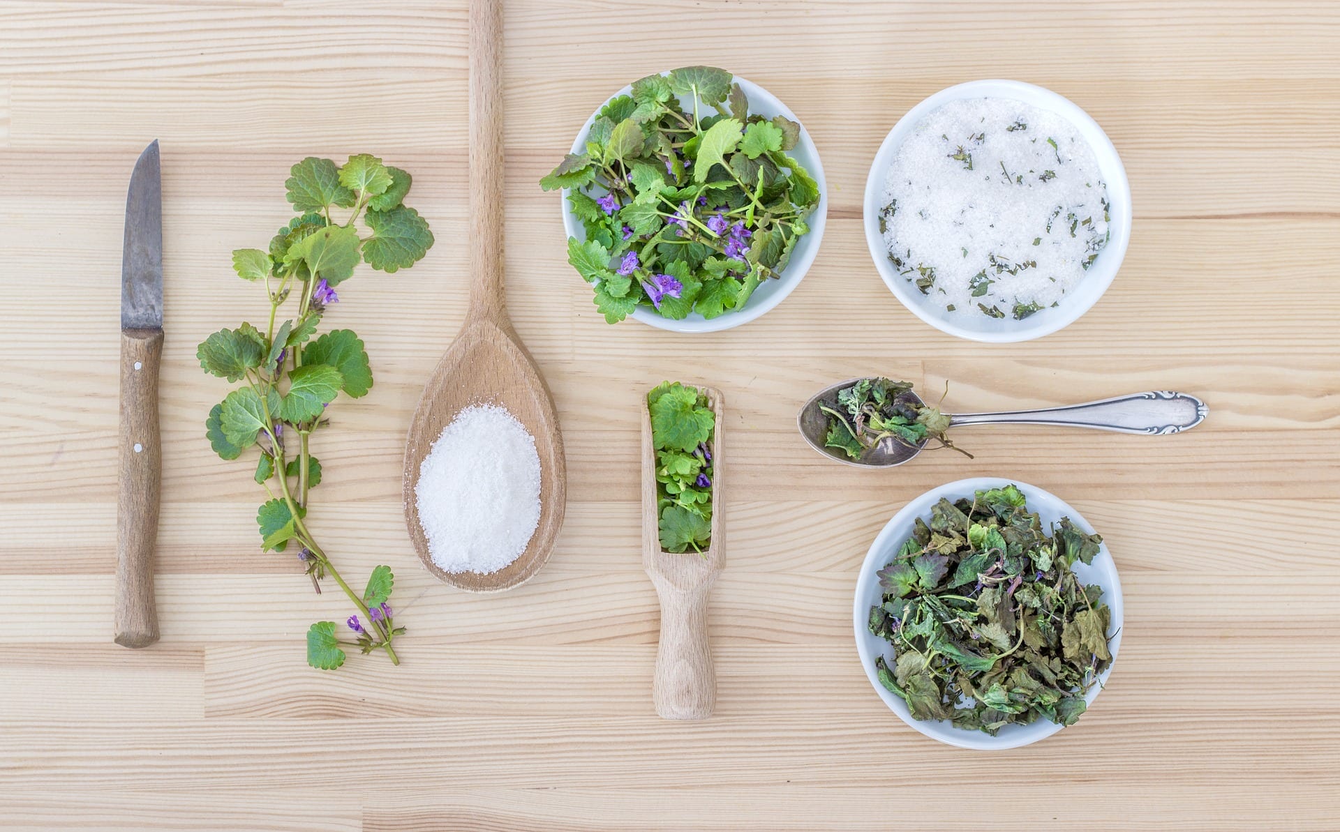 ️ Gesund abnehmen mit Bitterstoffen - Meditipps
